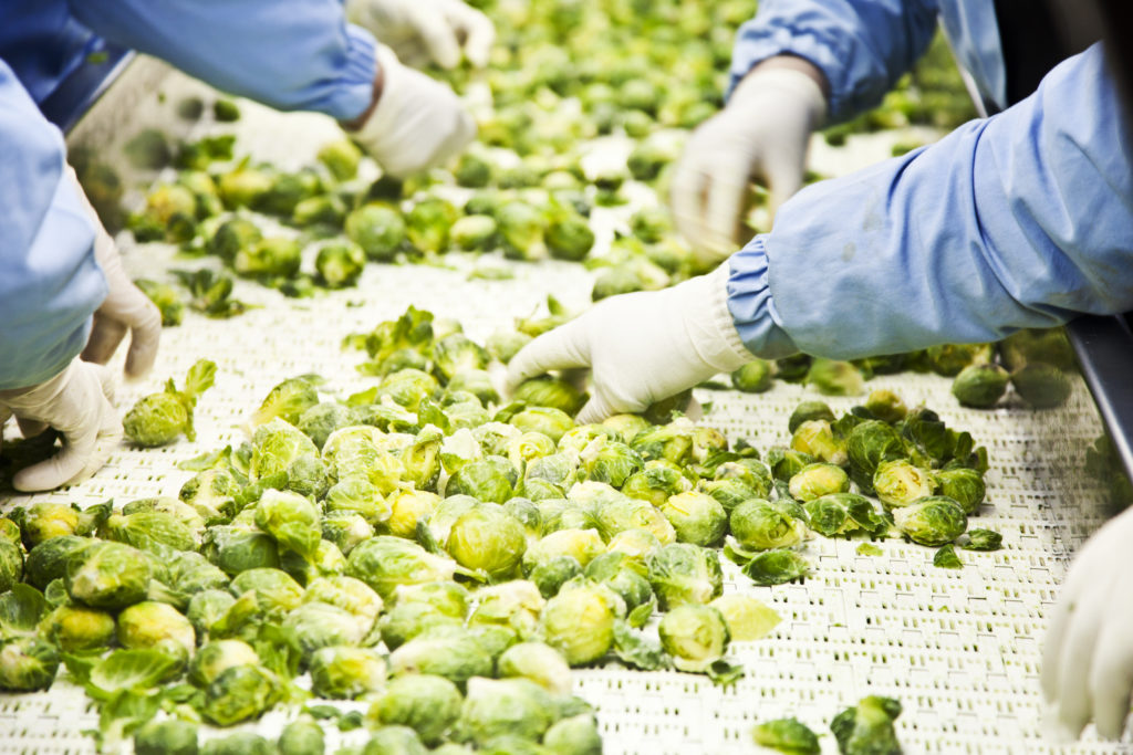 Shelf-Life Management in Fruit and Vegetable Processing 