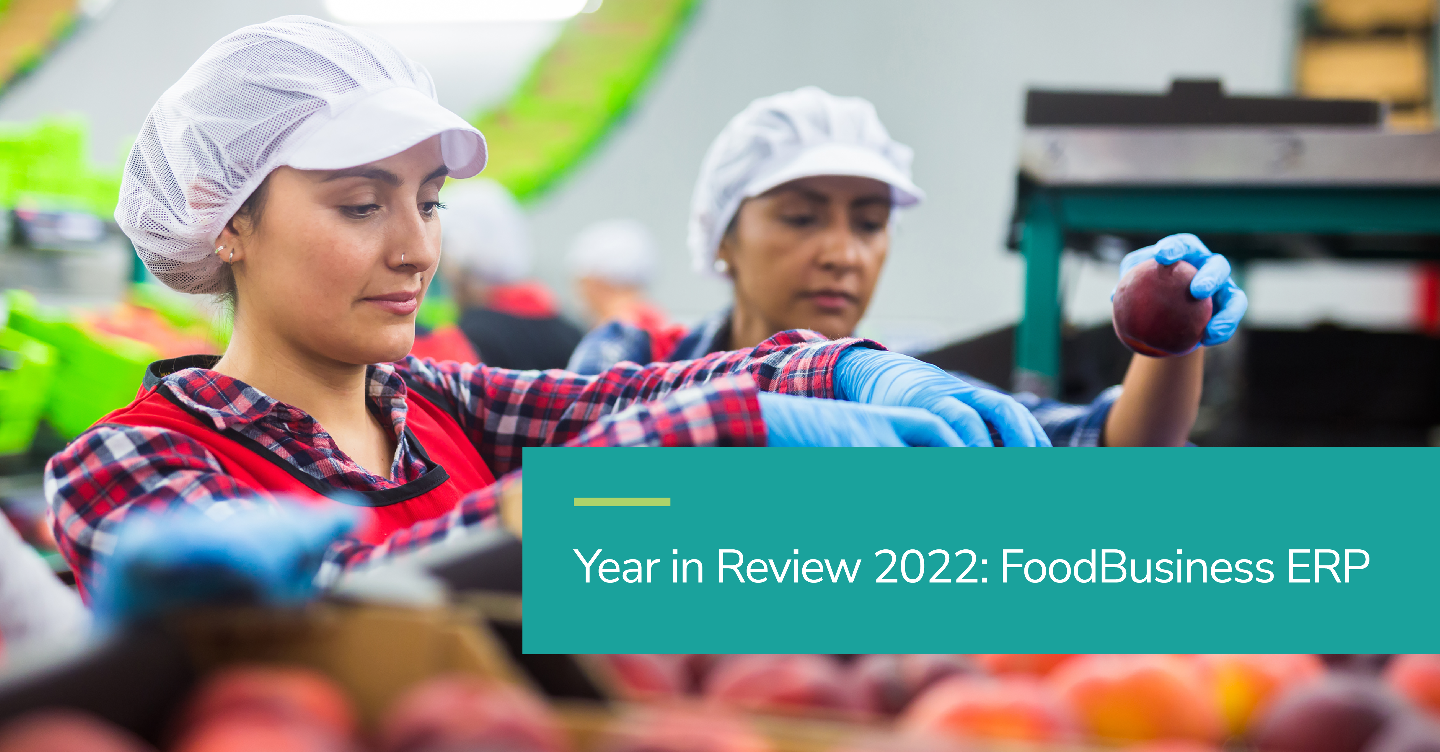 Year in Review 2022: FoodBusinessERP