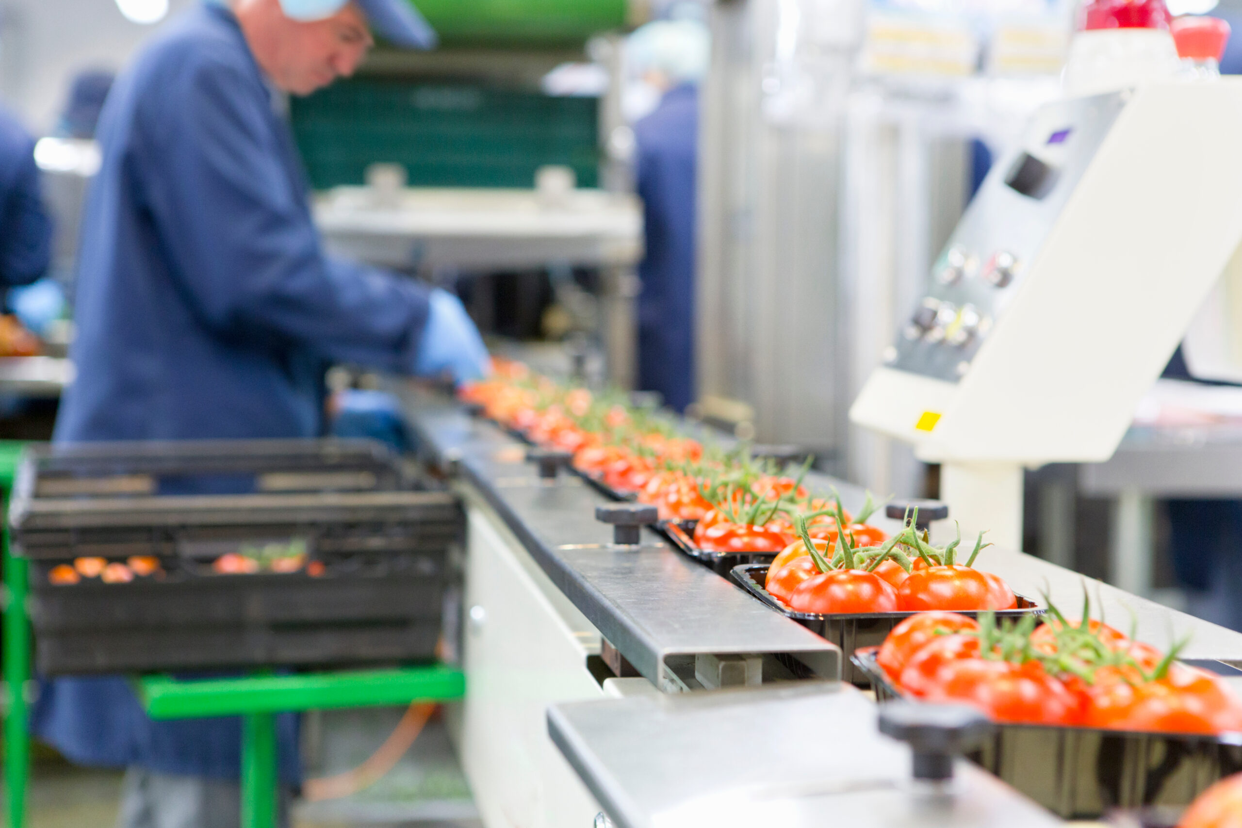 Maximizing Productivity in Food Manufacturing